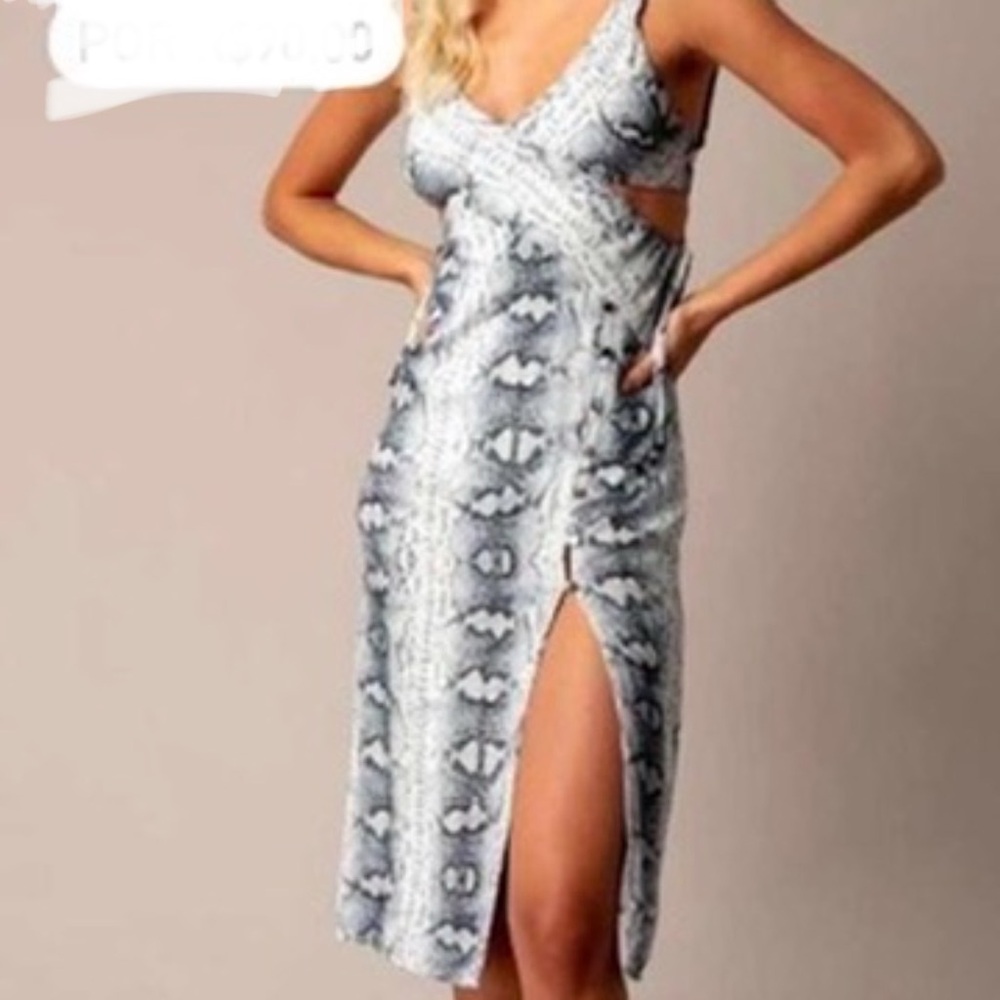 Animal print Dress